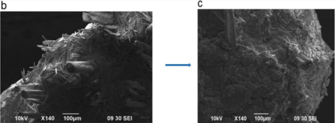 그림입니다.
원본 그림의 이름: mem00003c440020.png
원본 그림의 크기: 가로 1000pixel, 세로 371pixel